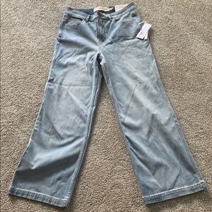 Soft Surroundings Blue Flare Wide Leg Jeans